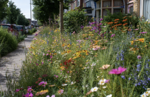 Bloemrijke, natuurlijke tuinbeplanting met vaste planten en wilde bloemen in een groene woonomgeving